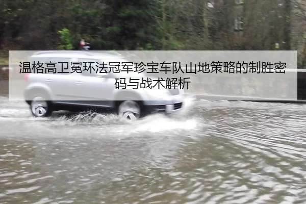 温格高卫冕环法冠军珍宝车队山地策略的制胜密码与战术解析